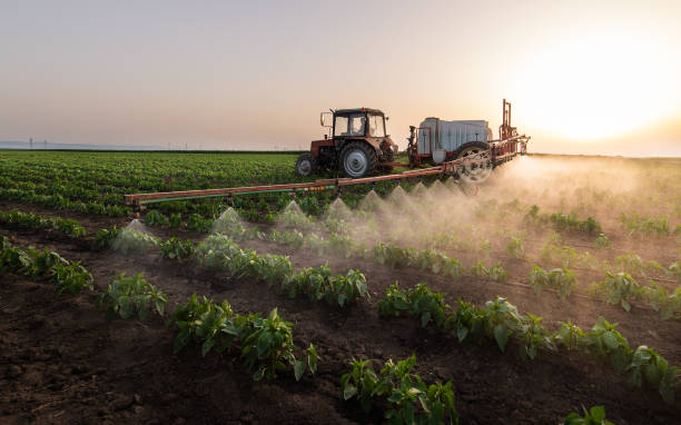 Best Commercial Pest Control Services  in Jamestown, NC