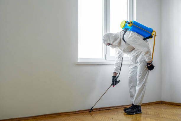 Best Mosquito Control Services  in Jamestown, NC
