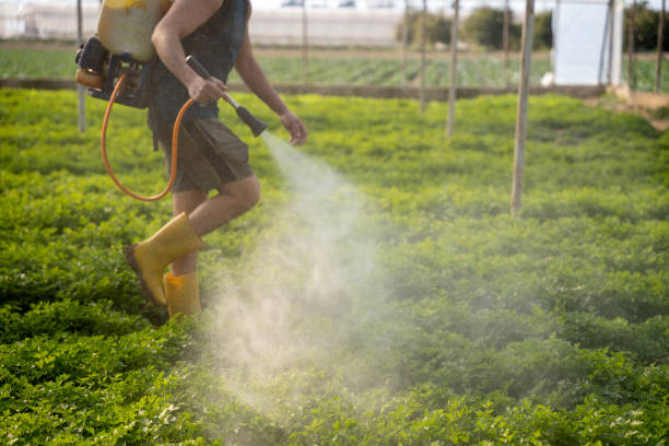 Best Residential Pest Control  in Jamestown, NC