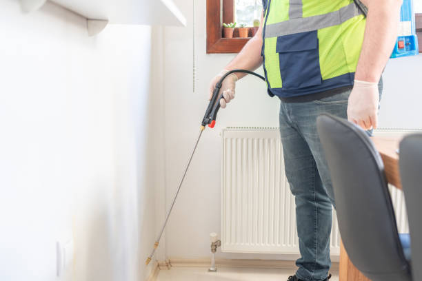 Best Wasp Removal Services  in Jamestown, NC