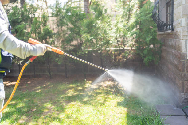 Best Local Pest Control Services  in Jamestown, NC