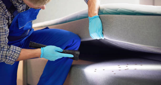 Best Best Pest Control Companies  in Jamestown, NC