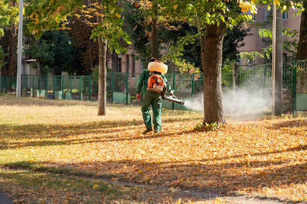 Best Flea Control Services  in Jamestown, NC